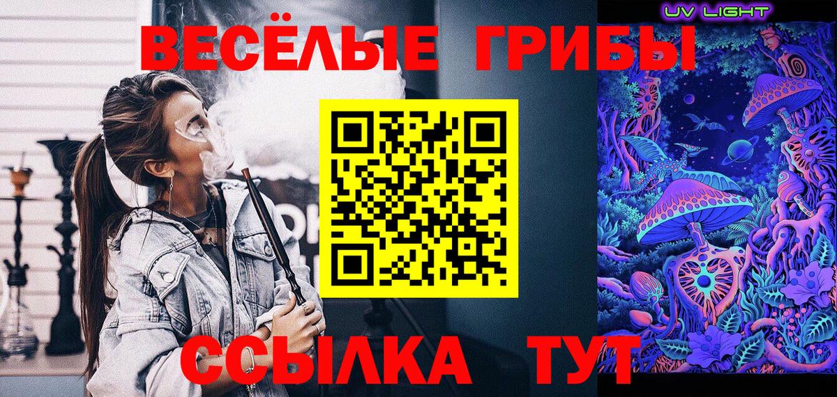 Галлюциногенные грибы Cubensis Псков